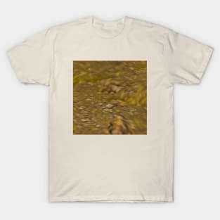 Morrowind Dirt T-Shirt